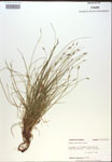 000018355-thumbnail.jpg