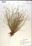 000018356-thumbnail.jpg