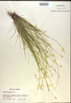 000018357-thumbnail.jpg