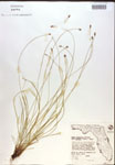 000018358-thumbnail.jpg