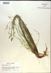 000018359-thumbnail.jpg