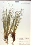 000018360-thumbnail.jpg
