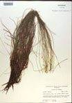 000018361-thumbnail.jpg