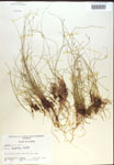000018363-thumbnail.jpg