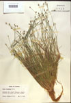 000018364-thumbnail.jpg