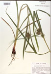 000018376-thumbnail.jpg