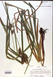 000018393-thumbnail.jpg