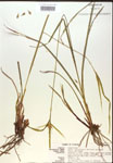 000018394-thumbnail.jpg