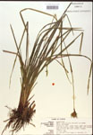 000018395-thumbnail.jpg