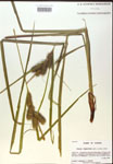 000018396-thumbnail.jpg