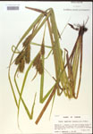 000018397-thumbnail.jpg