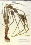 000018398-thumbnail.jpg