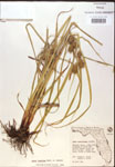 000018399-thumbnail.jpg