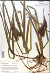 000018400-thumbnail.jpg