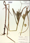 000018401-thumbnail.jpg