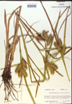 000018403-thumbnail.jpg