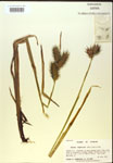 000018406-thumbnail.jpg