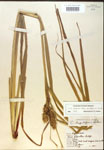 000018408-thumbnail.jpg