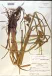 000018409-thumbnail.jpg