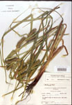000018410-thumbnail.jpg