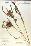 000018411-thumbnail.jpg