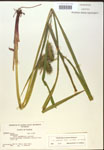 000018412-thumbnail.jpg