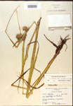 000018415-thumbnail.jpg