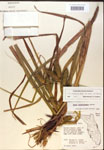 000018417-thumbnail.jpg