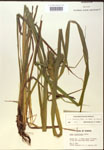 000018418-thumbnail.jpg