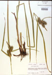 000018420-thumbnail.jpg