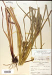 000018422-thumbnail.jpg