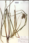 000018423-thumbnail.jpg