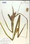 000018424-thumbnail.jpg