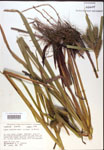 000018426-thumbnail.jpg