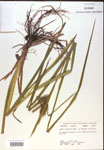 000018428-thumbnail.jpg