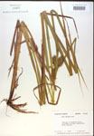 000018429-thumbnail.jpg