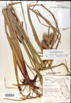 000018432-thumbnail.jpg