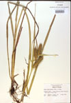 000018433-thumbnail.jpg