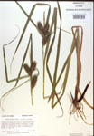 000018434-thumbnail.jpg