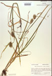 000018435-thumbnail.jpg
