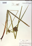 000018436-thumbnail.jpg
