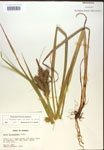 000018439-thumbnail.jpg