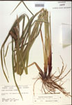 000018440-thumbnail.jpg