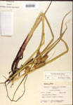 000018441-thumbnail.jpg