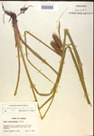 000018442-thumbnail.jpg