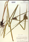 000018444-thumbnail.jpg