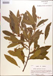 000018456-thumbnail.jpg