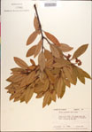 000018465-thumbnail.jpg