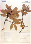 000018468-thumbnail.jpg
