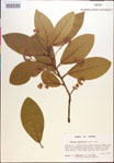 000018471-thumbnail.jpg